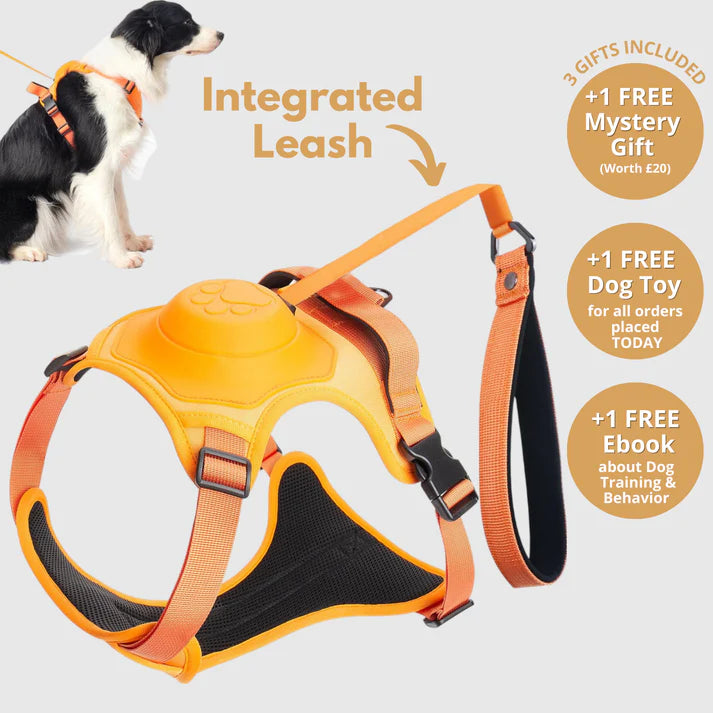 3 in 1 Dog Harness with Built-In Leash